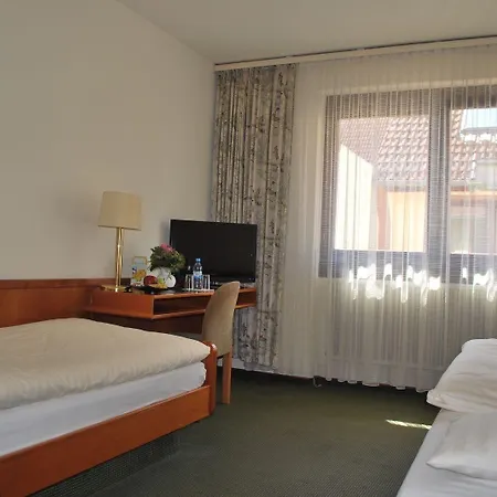 Rheingauer Tor 招待所 3*