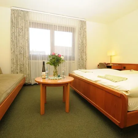 Rheingauer Tor 3* 美因河畔的霍赫海姆